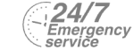 24/7 Emergency Service Pest Control in Chadwell Heath, Little Heath, RM6. Call Now! 020 8166 9746